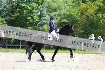 168732_mtp_01_3M5A7842.JPG