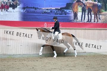 181887_mtp_02_R62_7607.JPG