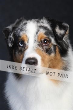 132082_le_ 01_IMG_0269.JPG