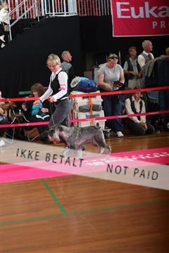 6068_ma_07_IMG_6909.JPG