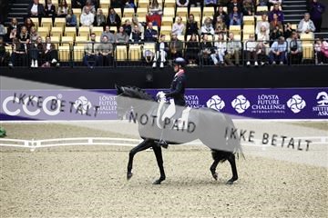 182194_avh_05_2588.JPG