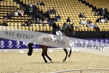 182194_kbb_03_Z090003.JPG