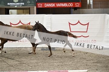 181754_kbb_01_Z093720.JPG