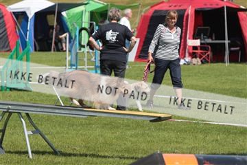 130370_tl_02_IMG_7834.JPG
