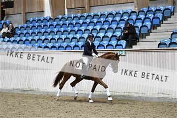 182241_kbb_01_Z094908.JPG