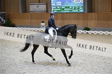 182176_kbb_01_Z094204.JPG