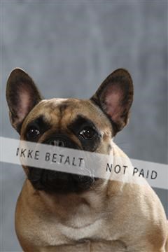 130054_le_ 01_0277.JPG