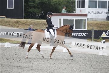 166078_rhj_01__J7R4239.JPG