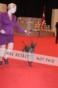 126827_tl_04_IMG_0018.JPG
