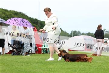 181564_rin_02_R62_1376.JPG