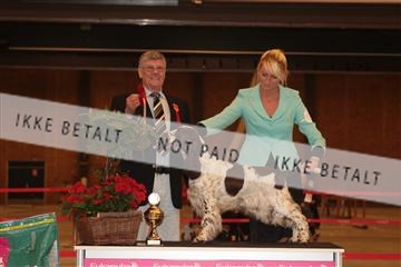 124188 _tl_02_IMG_9340.JPG