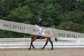156196_nn_01_IMG_6157.JPG