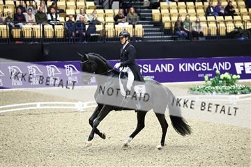 182194_avh_05_2113.JPG