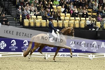 182194_kbb_03_Z091846.JPG