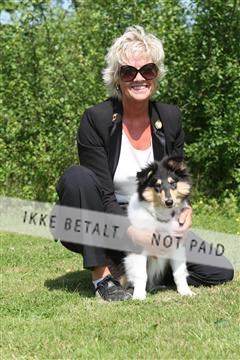 130370_se_02_IMG_6016.JPG