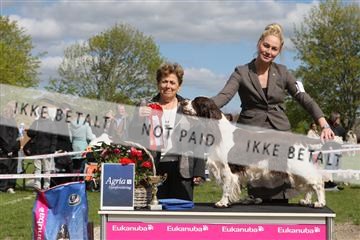 134871_ms_04_IMG_0715.JPG