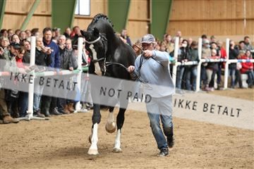 139265_kl_1_8M1Q6247.JPG
