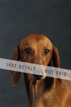 132082_le_ 01_IMG_0490.JPG