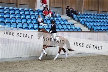 181887_mtp_02_R62_7841.JPG