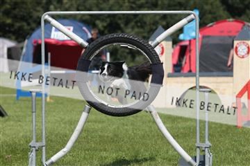130370_tl_02_IMG_7807.JPG