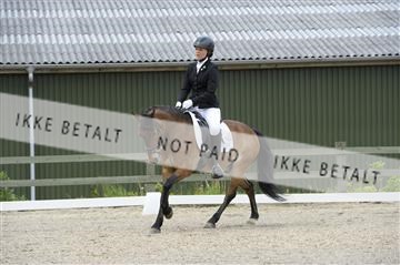 139898_ms_01__MS27637.JPG