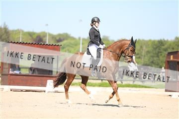 168732_mtp_01_3M5A8178.JPG