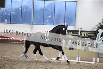 175968_mlm_02_R62_0784.JPG