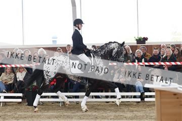 174363_kbb_01_R6II7896.JPG