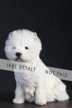 132082_le_ 01_IMG_0415.JPG