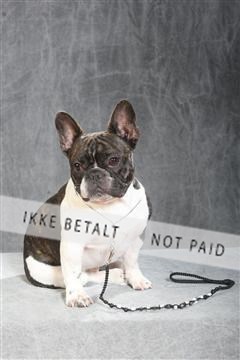 130054_le_ 01_0207.JPG