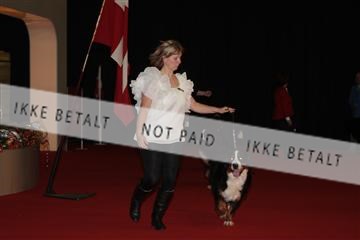 126827_tl_02_IMG_2798.JPG