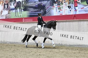 182241_kbb_01_Z094179.JPG