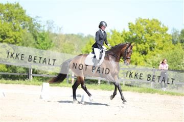 168732_mtp_01_3M5A7924.JPG