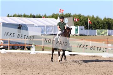 181449_bc_01R62_6437.JPG