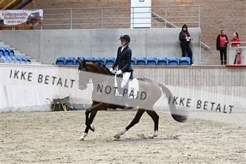 182241_kbb_01_Z093360.JPG