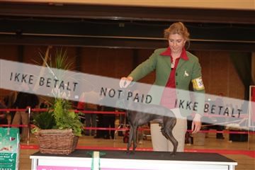 124188 _tl_02_IMG_9670.JPG