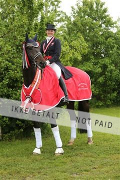 139835_sg_03_IMG_9648.JPG