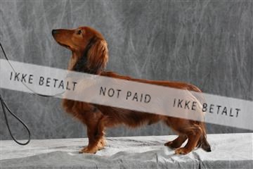 128239_le_ 05_0024.JPG