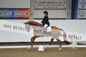 140040_abo_02__AB18332.JPG