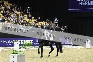182194_kbb_03_Z092696.JPG