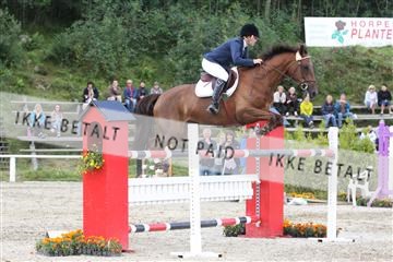 5350_sme _01_IMG_4391.JPG