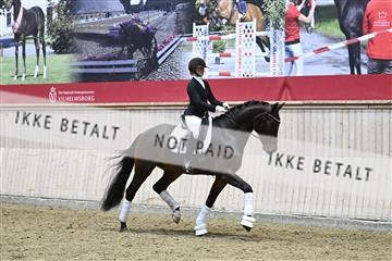 182241_kbb_01_Z093840.JPG