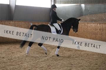 139206_kl_1_8M1Q5298.JPG