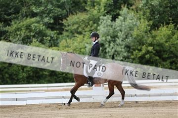 156196_nn_01_IMG_6066.JPG