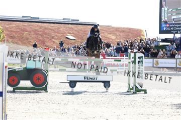 181436_avh_02_3475.JPG
