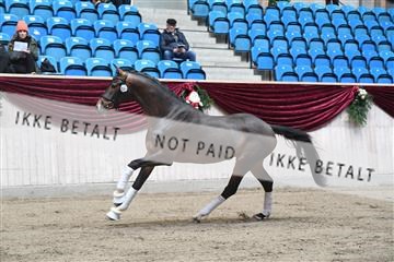 164516_kuo_01_D05_1322.JPG