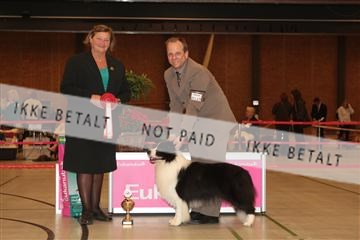 124188 _tl_02_IMG_9315.JPG