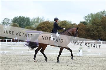 181923_mtp_04_R62_8815.JPG