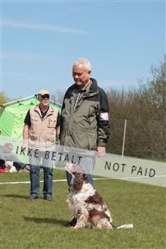 124188 _tl_02_IMG_9464.JPG