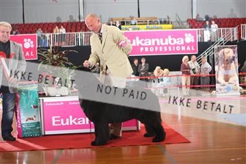 6068_ma_05_IMG_6071.JPG